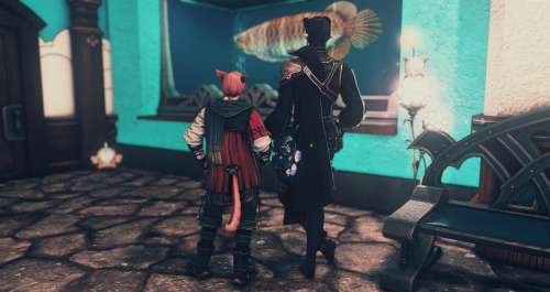 Went to the Eorzean Aquarium and couldn’t resist taking a few pics. It’s at Plot 59, War