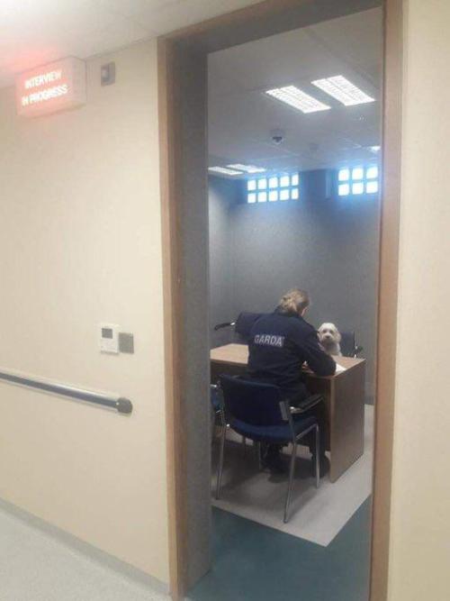 gliderbudgie:picsthatmakeyougohmm:hmmmPissvortex being interrogated for being a russian psyop