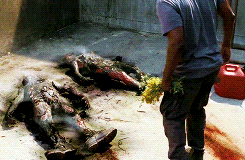 quodl:  The people who are living are haunted by the dead. We are who we are. And