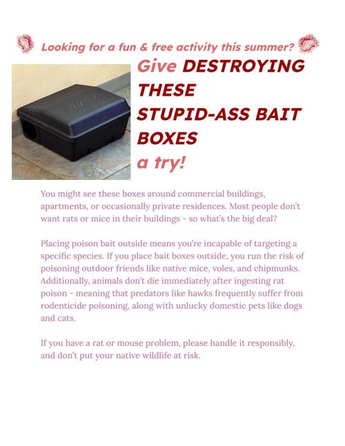Reminder To Please, Please, Please Skip Outdoor Rodenticide When Handling Rodent Infestations.
