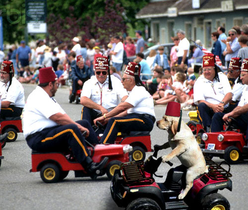 death-by-lulz:  thefrogman: Pow pow power wheels.  My lovely followers, please follow