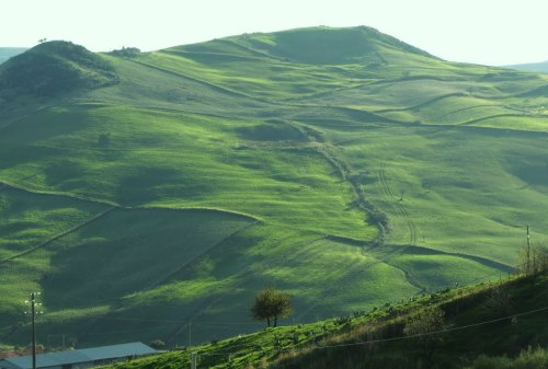 ferribotti: Verde SicilianoVerde come pistacchio, come la campagna a primavera, come i fichi maturi 