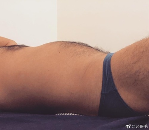 maxtsengb: 必哥毛