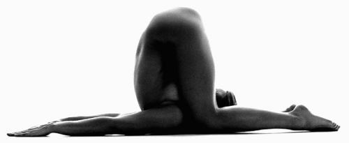 ॐ YogAsana ॐ adult photos