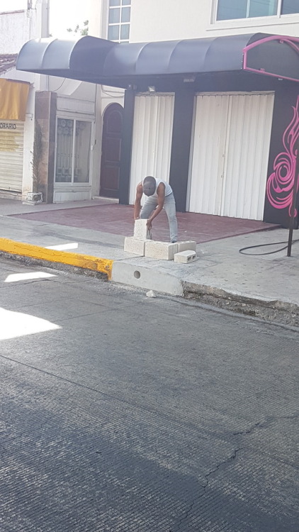 Chacales captados por mi