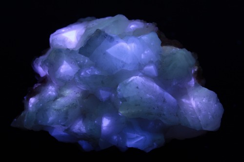 Terlingua Calcite from the Little 38 Mine, Terlingua, Texas.  Pictured under long wave, mid-wave, an