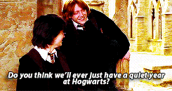 bahtmun:  The Harry Potter series summed up in six gifs 