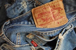 bodegahighlife:  bobimpresa:  501s Levi’s