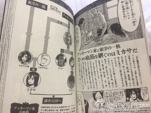 suniuz:  amayaokami:  So it seems Mikasa’s family branched off from Levi’s before his great grandfather’s generation. So, this confirms they aren’t closely related. Most of the kanji is too advanced/too blurry for me to read, but the line connecting
