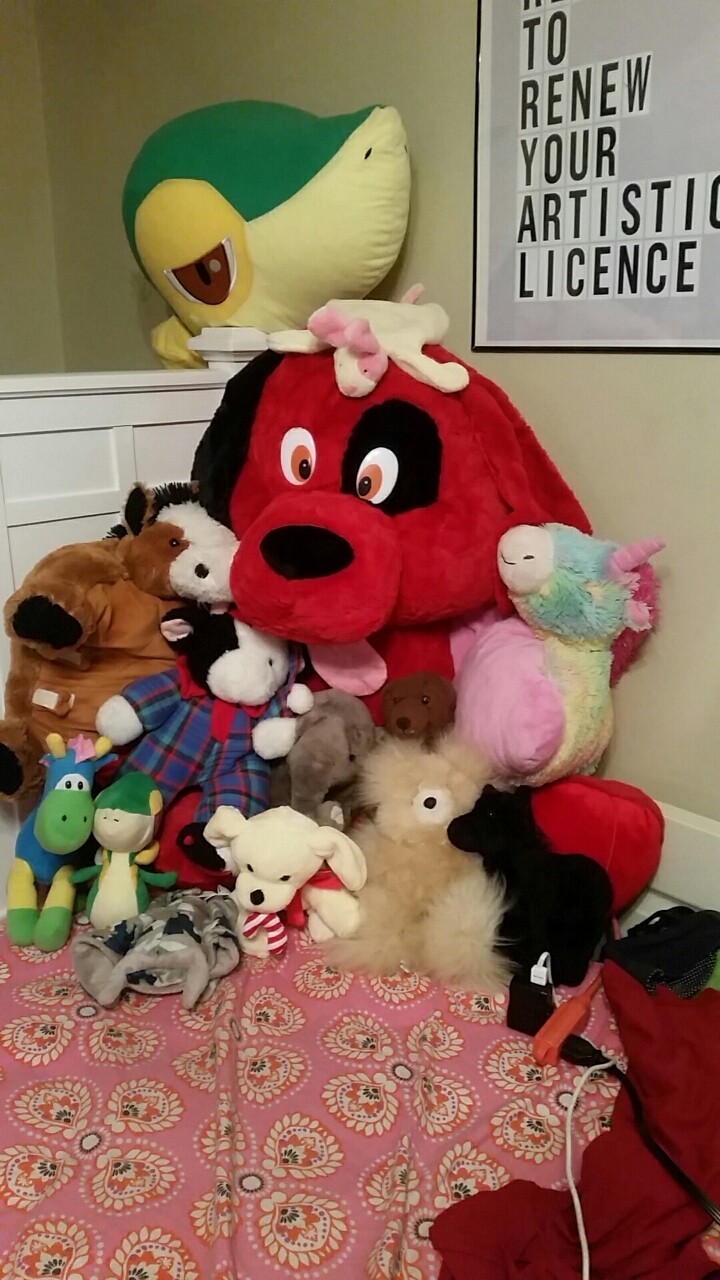 mistersbeard:  Dese are all my stuffies, a few aren’t shown cause they’re new