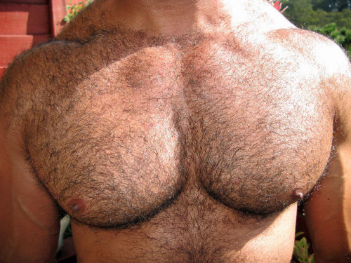 barebearx:  ~~~~PLEASE FOLLOW ME ** ~ ♂♂ OVER 30,500  FOLLOWERS~~~~~~ http://barebearx.tumblr.com/ **for HAIRY men & SEXY men** http://manpiss.tumblr.com/ **for MANPISS FUN **                   ~~~~~~~~~~~~~~~~~~~~~~~~~~~~~~~~~~