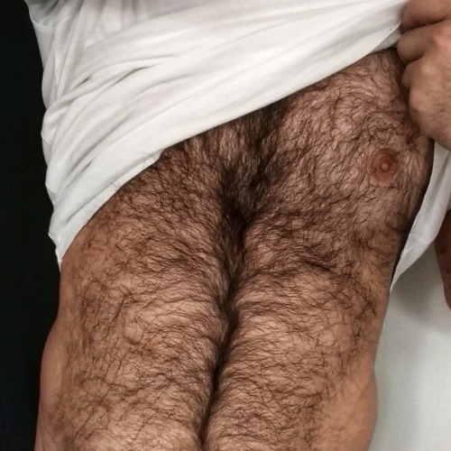 hairypo: smoothsilk: I love hairy men! Otter trail!!