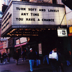 superbestiario:  Jenny Holzer  