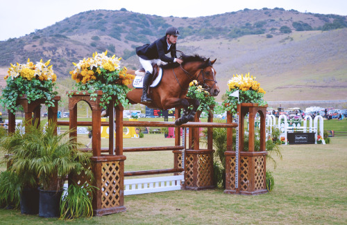 grand prix at the blenheim spring classic III, 2013.