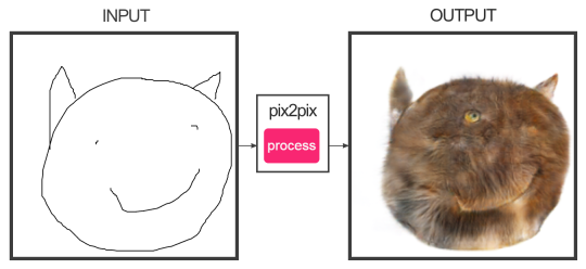 Porn senorpacman: babbybones:  this is edges2cats, photos