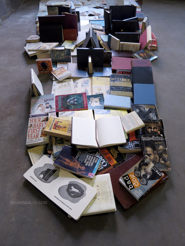 fer1972:  Dead Media 2: A Skull made with Booksby Noah Scalin 