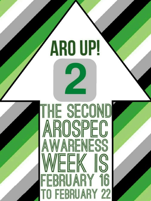 aroacesafespace:This is the final poster, I think I’ve fixed all the problems!Aromantic has been cha