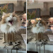 catasters: