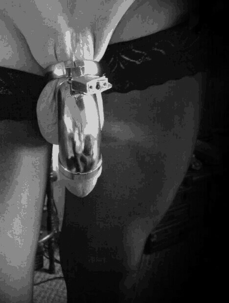 faggotlover:  NATIONAL CHASTITY DAY 14th January 2017. The Day ALL Faggots can wallow in total emasculation.