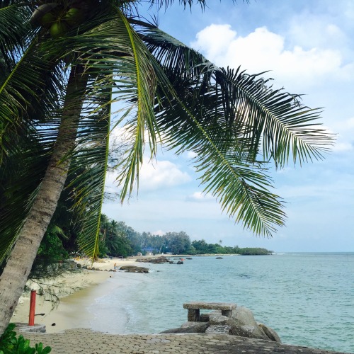 .
Coconut trees, sand, water and blue sky what else do you need after a fun filled year.