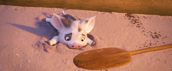 Pua Moana Explore Tumblr Posts And Blogs Tumgir