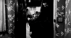 arthurdarvvill:  THE MAGIC BEGINS ϟ  Favourite Relationship | The Golden Trio