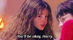 aradira:  30 Days of Harry and Hermione | Movie VersionDay 03 ❥ Favorite ‘Sorcerer’s