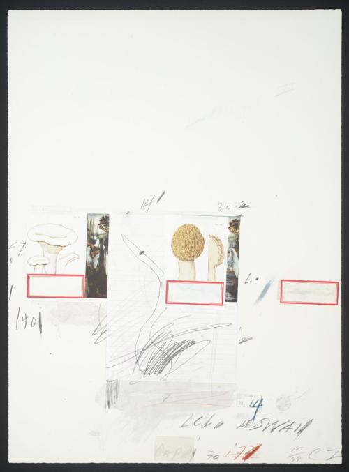 No. I, Cy Twombly, 1974, TatePurchased 1981Size: support: 758 x 558 mmMedium: Lithograph and mixed m