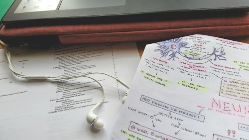 memorisu: [02.25.18 | 46/100 days of productivity] I kind of skipped like 20 days of this ahaha&hell