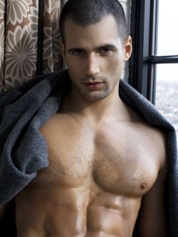 musclehank:  Todd Sanfield knows you get