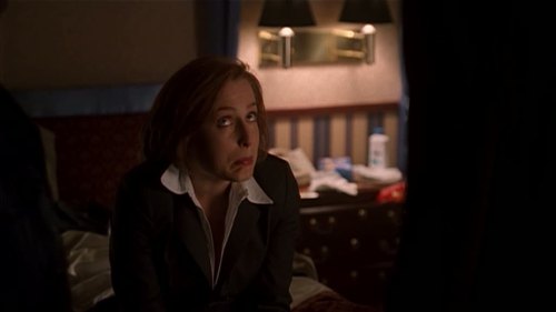 discombobulateddavidduchovny:Without a context the x files can look like a comedy.