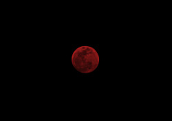 dnllmlln:Blood Moon // 3.4.15  by Danielle Mallon  