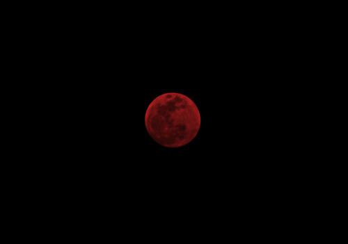 dnllmlln:Blood Moon // 3.4.15  by Danielle Mallon  