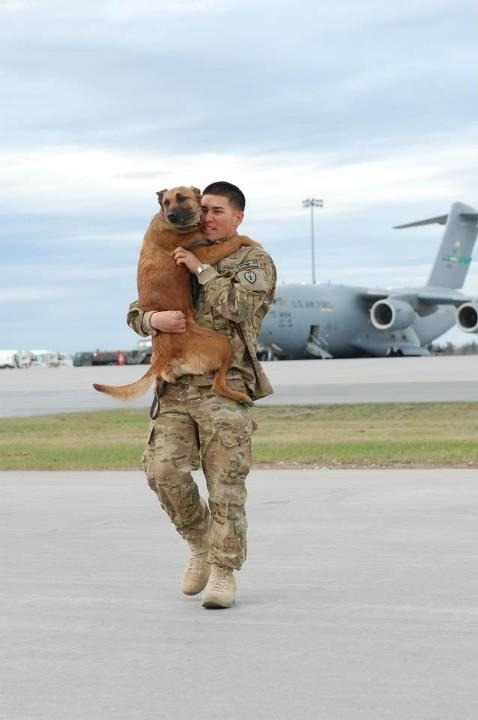 Men And Their Dogs