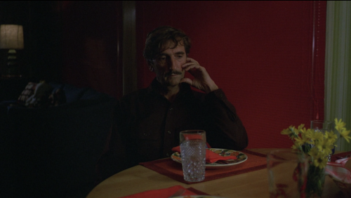 silverscreencaps: Paris, Texas (1984)