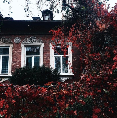 vintagepales2:“Let’s get lost in Lviv”