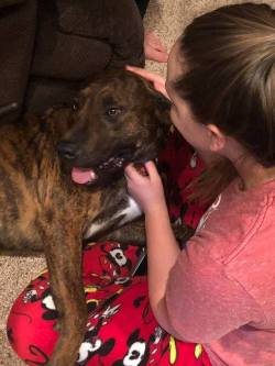 laughingsquid:Parents Secretly Adopt Daughter’s Favorite Dog From Shelter Where She Volunteers as a Christmas Surprise I watched it and immediately started tearing up. 