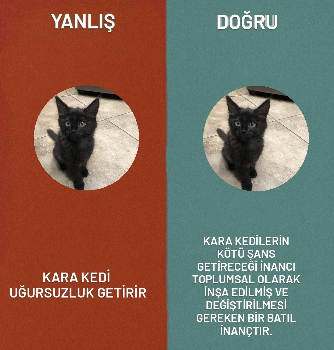 Kaynak