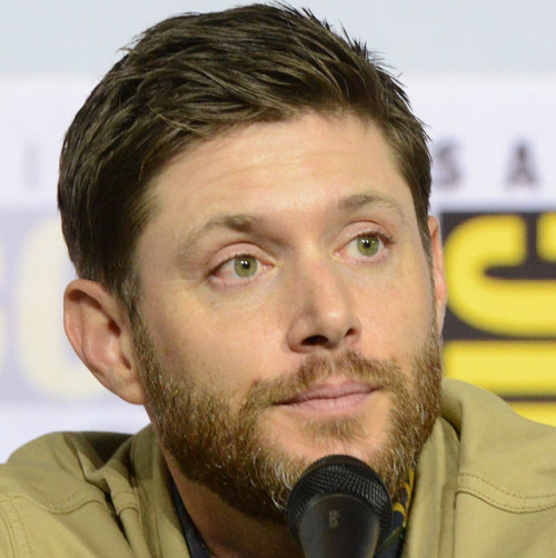 deanwinchesters: the ‘supernatural is ending and i’m dying’ moodboard