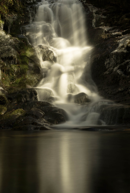 写真を撮りにいかない期間が長くなると、気持ちが写真から離れていく感じがする。　「自分は本当に写真が好きなのか？」なんて考えたりもする。　　でも、ふと「あっ！　ここ撮りたい！　こんなイメージで！！」って