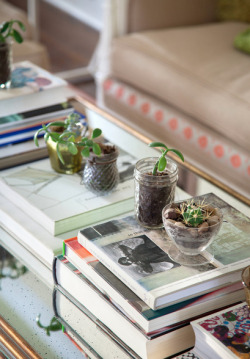 fuckyournoguchicoffeetable:  Fuck your tiny succulent array that sits atop a series of book stacks.