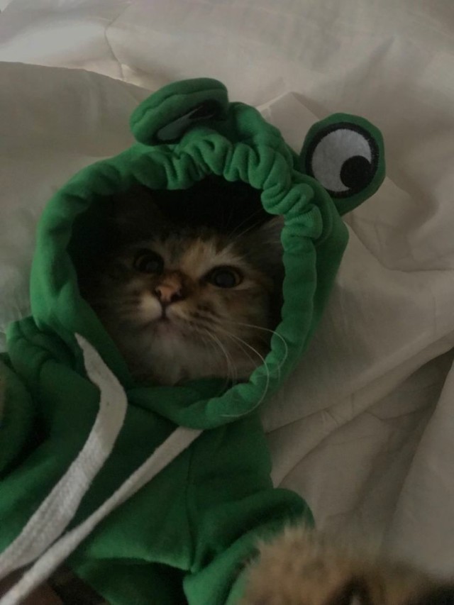 sarhoskedi: