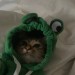 sarhoskedi: