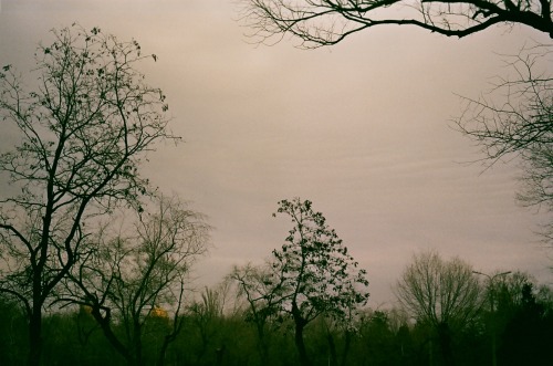 Gloomy Days Captured On Film