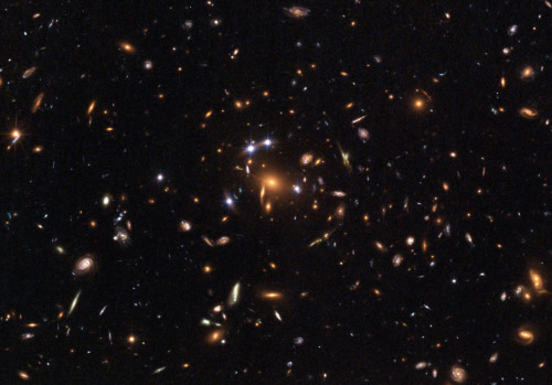 Hubble captures a five-star rated gravitational lens js