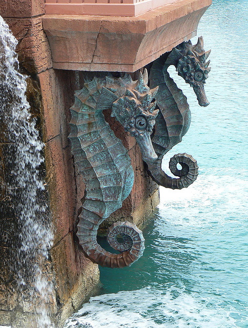 fabforgottennobility:Seahorses of Atlantis by ore_reserve on Flickr.
