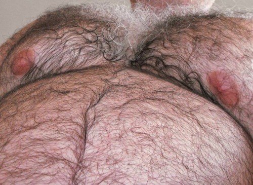 dirtydevildick: beefyfurrydaddy: Wow! That hairy gut and his red nipples get my dick stiff.