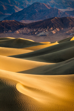 earthlynation:  In the Dunes (by Thorsten