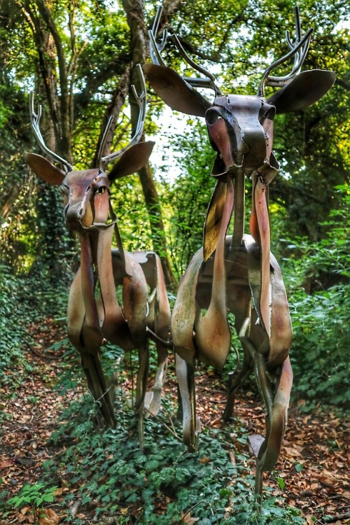 Deer Sculpture, Brungerley Park at Clitheroe, Lancashire, 26.7.18.