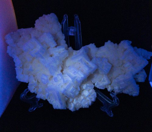 Halite on Trona displaying fluorescenceLocality: Searles Lake, California, U.S. 375 nm (Longwave) UV